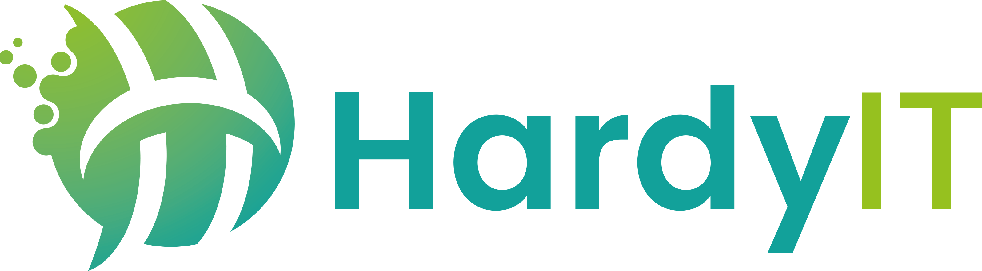 Hardy IT